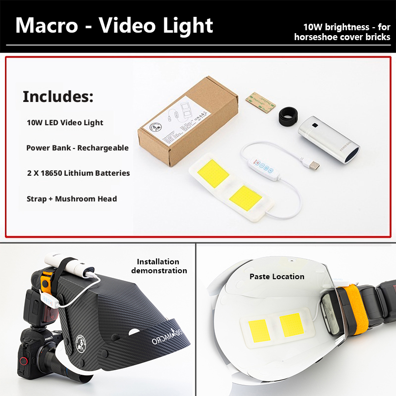 10W Mini Focuslicht voor alle  - Photography Lighting Softbox recensie en prijs